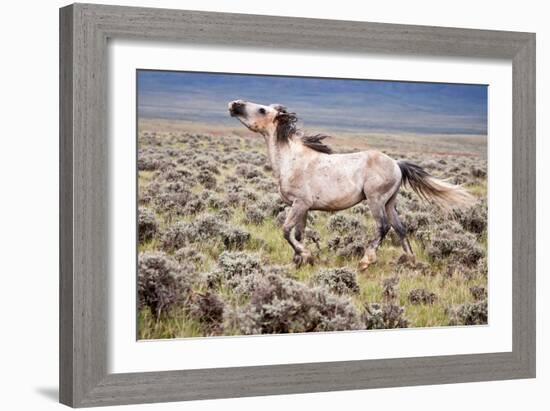 Wild Horse, Wyoming-Larry Ditto-Framed Art Print