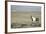 Wild Horse-DLILLC-Framed Photographic Print