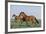 Wild Horse-null-Framed Photographic Print