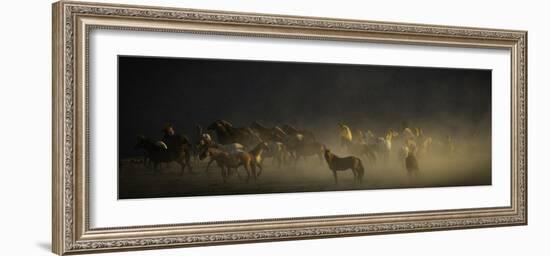 WILD HORSES #4-SALLY LINDEN-Framed Photographic Print