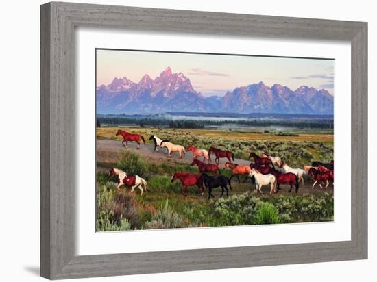 Wild Horses and Sunrise-Lantern Press-Framed Art Print