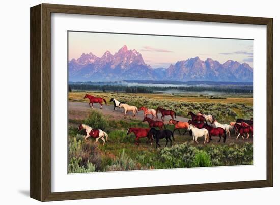 Wild Horses and Sunrise-Lantern Press-Framed Art Print