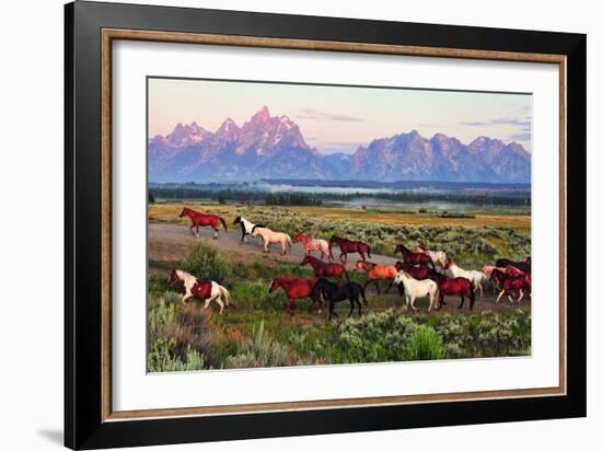 Wild Horses and Sunrise-Lantern Press-Framed Art Print