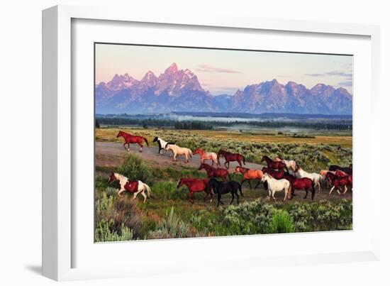 Wild Horses and Sunrise-Lantern Press-Framed Art Print