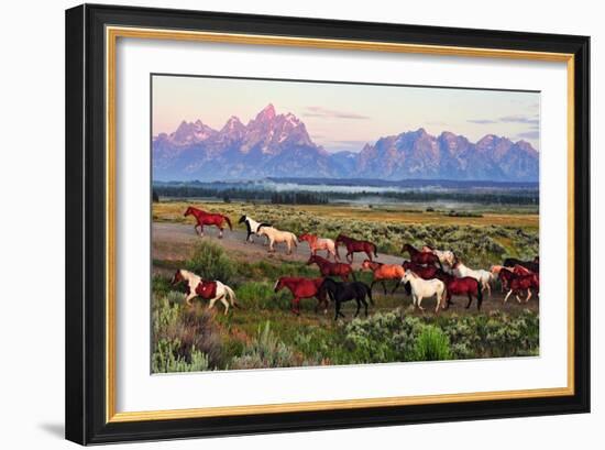 Wild Horses and Sunrise-Lantern Press-Framed Art Print