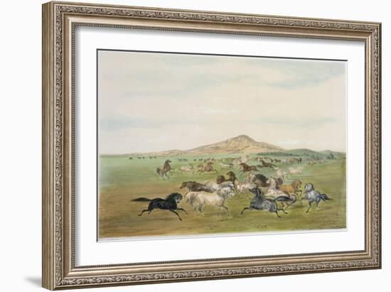 Wild Horses at Play-George Catlin-Framed Giclee Print