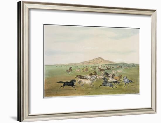 Wild Horses at Play-George Catlin-Framed Giclee Print