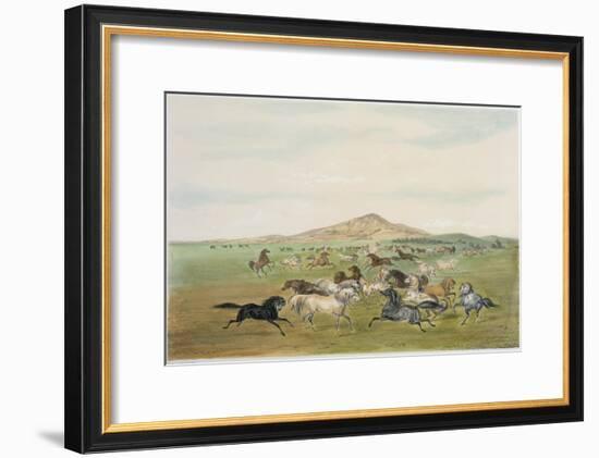 Wild Horses at Play-George Catlin-Framed Giclee Print