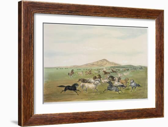 Wild Horses at Play-George Catlin-Framed Giclee Print