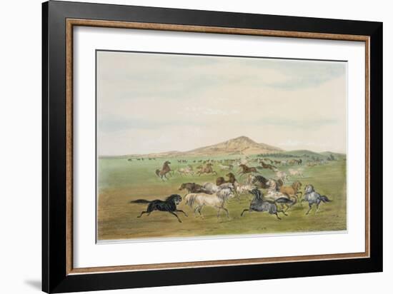 Wild Horses at Play-George Catlin-Framed Giclee Print