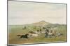 Wild Horses at Play-George Catlin-Mounted Giclee Print
