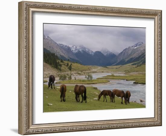 Wild Horses at River, Karkakol, Kyrgyzstan, Central Asia-Michael Runkel-Framed Photographic Print