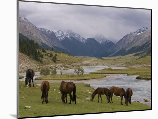 Wild Horses at River, Karkakol, Kyrgyzstan, Central Asia-Michael Runkel-Mounted Photographic Print