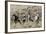 Wild Horses, Family Group-Ken Archer-Framed Photographic Print