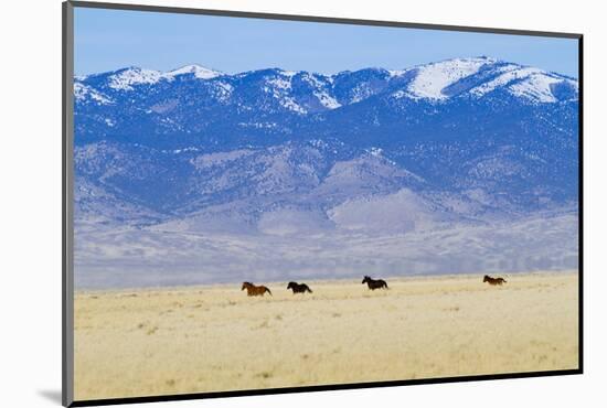 Wild Horses Galloping in Nevada-Sergio Ballivian-Mounted Photographic Print