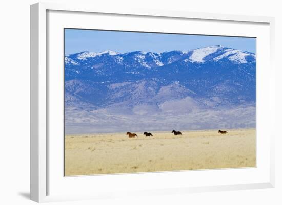 Wild Horses Galloping in Nevada-Sergio Ballivian-Framed Photographic Print