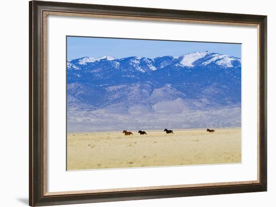 Wild Horses Galloping in Nevada-Sergio Ballivian-Framed Photographic Print