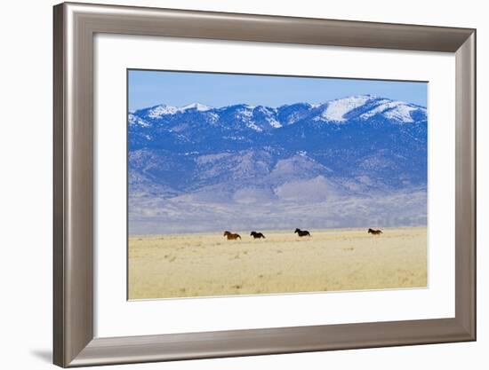 Wild Horses Galloping in Nevada-Sergio Ballivian-Framed Photographic Print