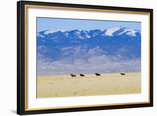 Wild Horses Galloping in Nevada-Sergio Ballivian-Framed Photographic Print