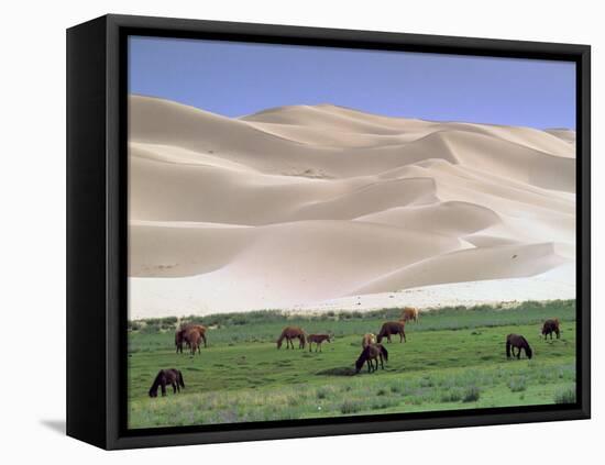 Wild Horses, Gobi Desert, Mongolia-Gavriel Jecan-Framed Premier Image Canvas