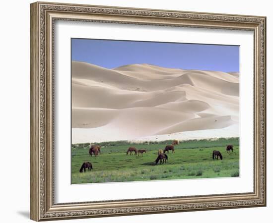 Wild Horses, Gobi Desert, Mongolia-Gavriel Jecan-Framed Photographic Print