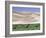 Wild Horses, Gobi Desert, Mongolia-Gavriel Jecan-Framed Photographic Print