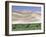 Wild Horses, Gobi Desert, Mongolia-Gavriel Jecan-Framed Photographic Print