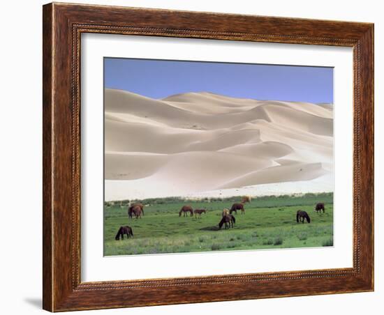 Wild Horses, Gobi Desert, Mongolia-Gavriel Jecan-Framed Photographic Print