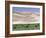 Wild Horses, Gobi Desert, Mongolia-Gavriel Jecan-Framed Photographic Print