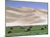 Wild Horses, Gobi Desert, Mongolia-Gavriel Jecan-Mounted Photographic Print