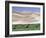 Wild Horses, Gobi Desert, Mongolia-Gavriel Jecan-Framed Photographic Print