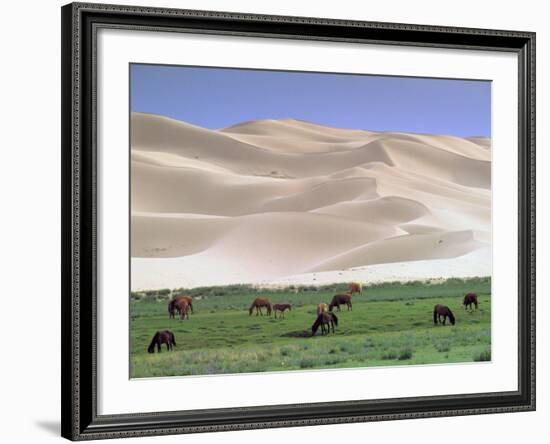 Wild Horses, Gobi Desert, Mongolia-Gavriel Jecan-Framed Photographic Print