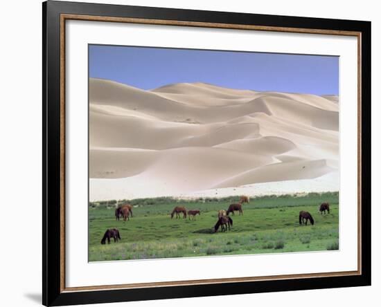 Wild Horses, Gobi Desert, Mongolia-Gavriel Jecan-Framed Photographic Print