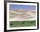 Wild Horses, Gobi Desert, Mongolia-Gavriel Jecan-Framed Photographic Print