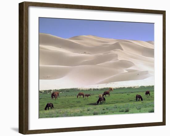 Wild Horses, Gobi Desert, Mongolia-Gavriel Jecan-Framed Photographic Print