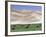 Wild Horses, Gobi Desert, Mongolia-Gavriel Jecan-Framed Photographic Print