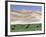 Wild Horses, Gobi Desert, Mongolia-Gavriel Jecan-Framed Photographic Print