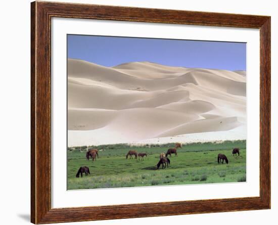 Wild Horses, Gobi Desert, Mongolia-Gavriel Jecan-Framed Photographic Print