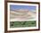 Wild Horses, Gobi Desert, Mongolia-Gavriel Jecan-Framed Photographic Print