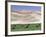 Wild Horses, Gobi Desert, Mongolia-Gavriel Jecan-Framed Photographic Print