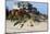 Wild Horses Graze in the Protected Northern Tip of the Outer Banks in Corolla, North Carolina Among-pdb1-Mounted Photographic Print