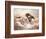 Wild Horses I-Ruane Manning-Framed Art Print