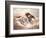 Wild Horses I-Ruane Manning-Framed Art Print