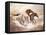 Wild Horses I-Ruane Manning-Framed Stretched Canvas