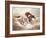 Wild Horses I-Ruane Manning-Framed Art Print