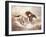 Wild Horses I-Ruane Manning-Framed Art Print