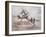 Wild Horses II-Ruane Manning-Framed Art Print