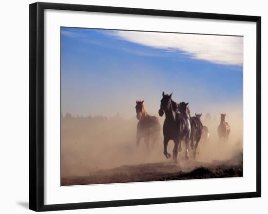 Wild Horses in the High Desert near Sun River, Oregon, USA-Janis Miglavs-Framed Photographic Print