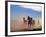 Wild Horses in the High Desert near Sun River, Oregon, USA-Janis Miglavs-Framed Photographic Print