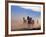 Wild Horses in the High Desert near Sun River, Oregon, USA-Janis Miglavs-Framed Photographic Print